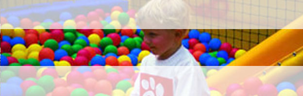 CIS Header Image